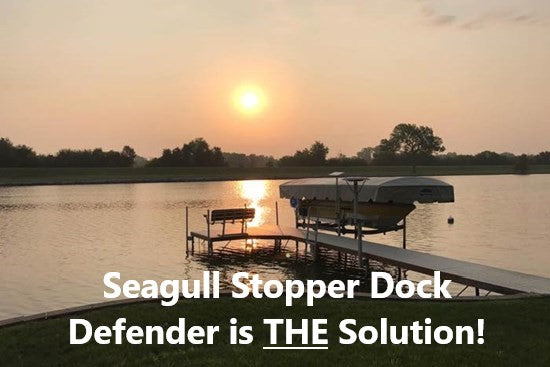 Dock Defender